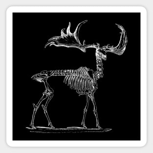 Moose Skeleton Magnet